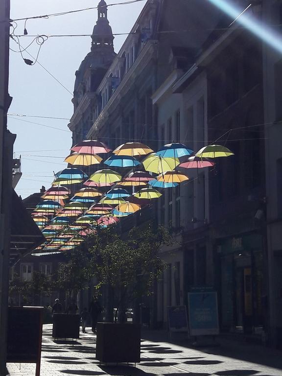 Lille Centre Ville, Beaux Arts Et Grand Palais, Bienvenue Chez Nestyou Lille Exterior foto