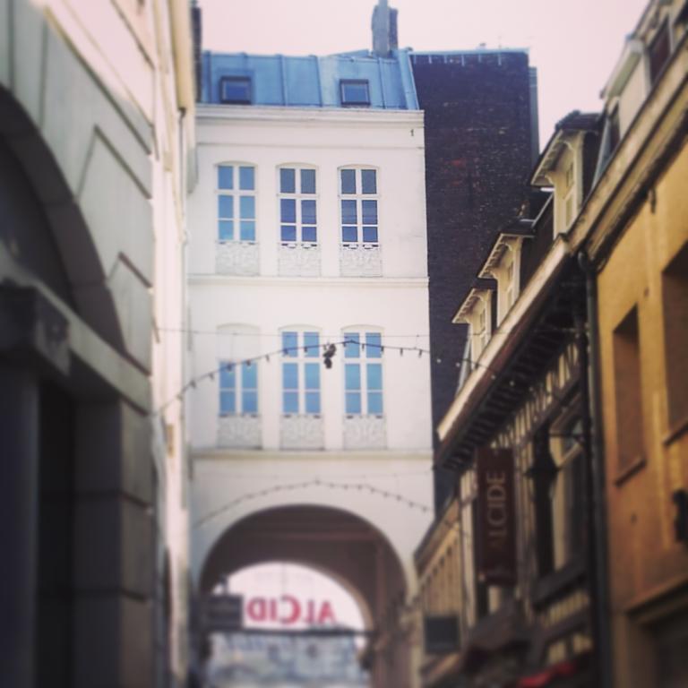 Lille Centre Ville, Beaux Arts Et Grand Palais, Bienvenue Chez Nestyou Lille Exterior foto